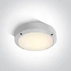 10W LED sieninis lauko šviestuvas, baltas, 3000K, 67442/W/W
