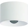 12W LED paviršinis lauko šviestuvas, baltas, 3000K, S132