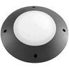 12W LED sieninis fasado šviestuvas laiptų apšvietimui GROUND, antracito sp., CCT, IP65