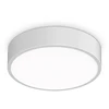Lubinis šviestuvas Ideal Lux 13W LED plafonas RAY, baltas, 3000/4000K, IP44, 327570