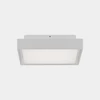 Lubinis šviestuvas 14W LED lubinis fasado šviestuvas NEXUS, baltas, 2700/3000K, IP65, P2083171B