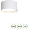 Lubinis šviestuvas 15W LED lubinis fasado šviestuvas GABRIEL, baltas, 3000/4000/5700Κ, IP44, 4336100