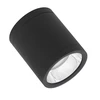Ledvance 15W LED paviršinis lauko šviestuvas, juodas, 4000K, IP65, 60°