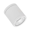 Ledvance 15W LED paviršinis lauko šviestuvas, baltas, 4000K, IP65, 36°