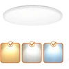 18W LED lubinis šviestuvas NIVERA CIRCLE, baltas, 3000/4000/6000K, IP54