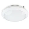 18W LED paviršinis šviestuvas LED DEFENDER LX su judesio davikliu, 4000K