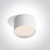 20W LED paviršinis šviestuvas, baltas, 3000/4000/5000K, IP44, 12120D/W/V