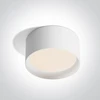25W LED paviršinis šviestuvas, baltas, 3000/4000/5000K, IP44, 12125D/W/V