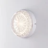 30W LED lubinis fasado šviestuvas CAPRI, baltas, CCT, IP65