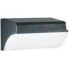 Sieninis šviestuvas 30W LED sieninis fasado šviestuvas BORDER, antracito sp., IP65