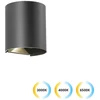 3W LED sieninis fasado šviestuvas GREG, juodas, 3000/4000/6500K, IP65, 4352300