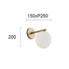 Sieninis šviestuvas GLOBE LED/CFL lemputėms, E14, žalvario spalvos, 3094700