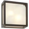 Paviršinis lauko šviestuvas BRICK GLASS, E27, tamsiai pilkas, IP54, 9892