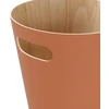Šiukšliadėžė WOODROW SIERRA 23 × 23 × 28