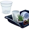 Prosperplast skaidri augalų vazelė 12 cm