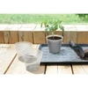 Prosperplast skaidri augalų vazelė 12 cm
