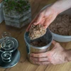 Slėginė kumpio viryklė 3kg su termometru, maišeliais ir prieskoniais