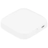 SMART HOME valdiklis ZIGBEE TUYA
