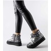 Sniego batai Solea