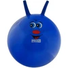 Šokinėjantis kamuolys 45cm PROFIT DK2103