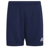 Šortai Adidas Entrada 22 Jr H57500