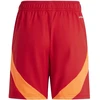 Šortai Adidas Tiro 24 Competition Jr IQ4776