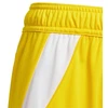 Šortai Adidas Tiro 24 Jr IT2410