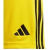 Šortai Adidas Tiro 24 Jr IT2410