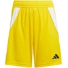 Šortai Adidas Tiro 24 Jr IT2410