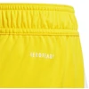 Šortai Adidas Tiro 24 Jr IT2410