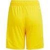 Šortai Adidas Tiro 24 Jr IT2410