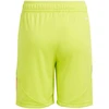 Šortai Adidas Tiro 24 Jr IT2421
