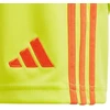 Šortai Adidas Tiro 24 Jr IT2421