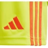 Šortai Adidas Tiro 24 Jr IT2421