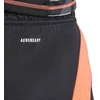 Šortai Adidas Tiro 24 M IT2411