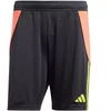 Šortai Adidas Tiro 24 M IT2411