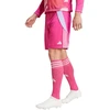 Šortai Adidas Tiro 24 M IT2417