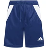 Šortai adidas Tiro 24 Training Jr IS1003