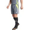 Šortai Adidas Tiro 24 Training M IV6940