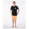 Šortai berniukams Rip Curl Jackson Boardwalk