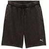 Šortai Puma Ess Elevated Relaxed Wash M 688052 01