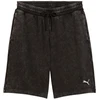 Šortai Puma Ess Elevated Relaxed Wash M 688052 01