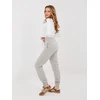 Sportinės kelnės-CLM-DR-1107.98-pilka