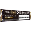 Ausinės SSD diskas Silicon Power US75 1TB M.2 Gen4 NVMe 7000/6000 MB/s (SP01KGBP44US7505)