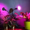 Stalo šviestuvas augalų auginimui PLANTY, E27, juodas