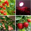Stalo šviestuvas augalų auginimui PLANTY, E27, baltas