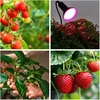 Stalo šviestuvas augalų auginimui PLANTY, E27, juodas