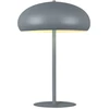 Stalo šviestuvas COZY, 2xE14, pilkas, 4350301