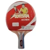 Stalo teniso raketė Aurora 2* short SG6622