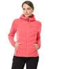 Striukė Jack Wolfskin Tasman Jkt W 1707272-2072